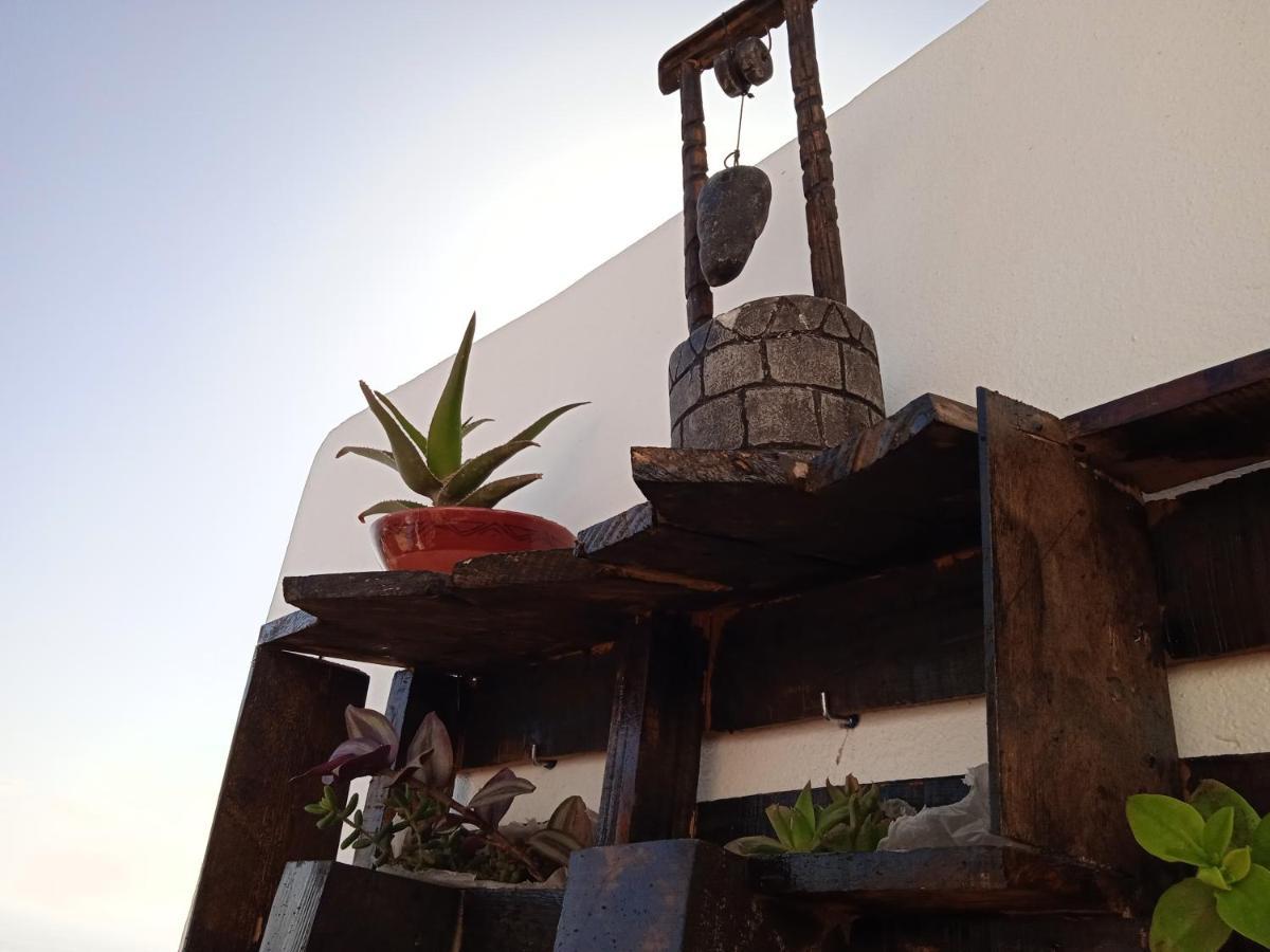 مبيت وإفطار تغازوت Binic Surf House المظهر الخارجي الصورة